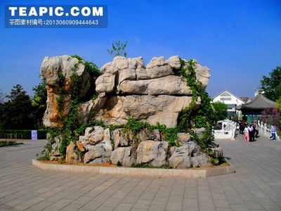 自然之韻，匠心之作 淺談假山的藝術與文化內涵